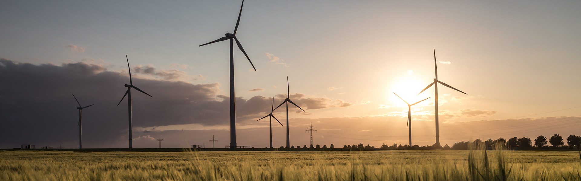 Erneuerbare Energien