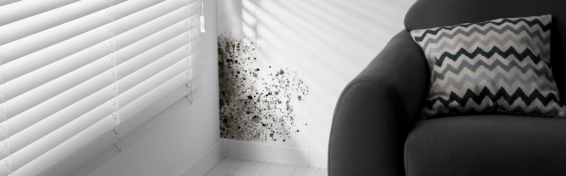 Schimmelpilzberatung